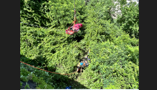 Hillside rescue below Frank Curto Park off of Bigelow Blvd