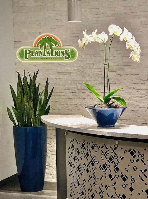 Plantations