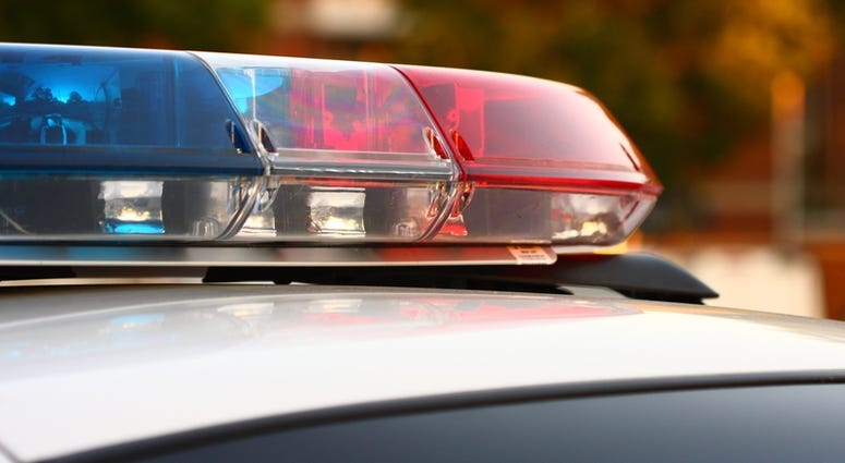 Police lights