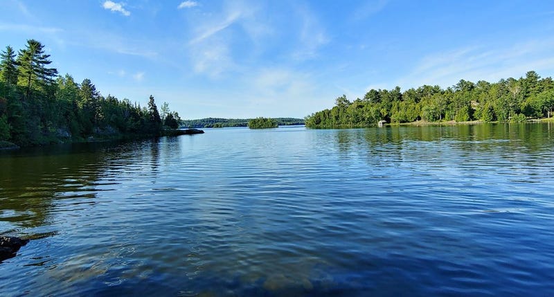 water quality