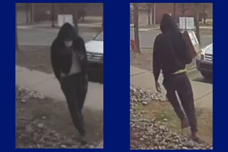 Police are searching for an alleged bandit snatching packages delivered to homes in Wayne County after several incidents were reported over the weekend.