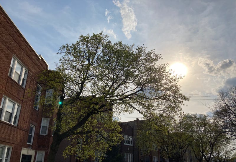 sun