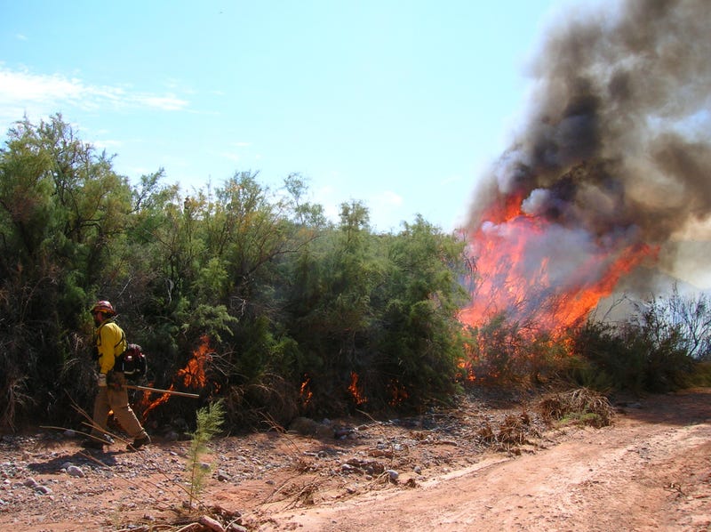 Firefighters monitor a prescribed burn in the Lake Mead National Recreation Area
