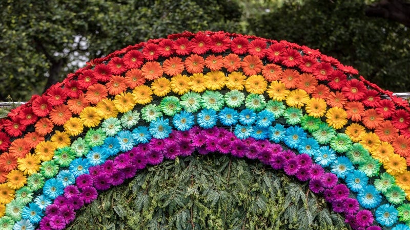 wjarek / Getty Images