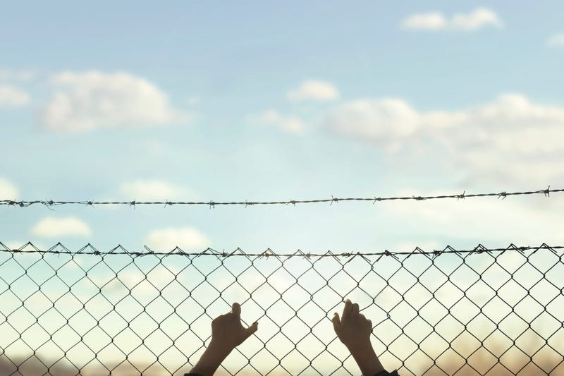 Prison fence