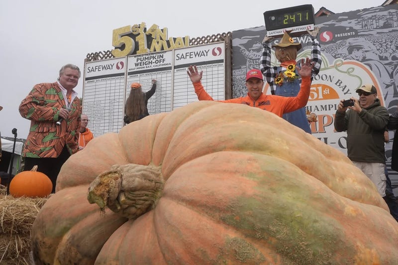 Travis Gienger of Anoka, Minnesota celebrates after his giant pumpkin weighed a winning 2,471 pounds. 