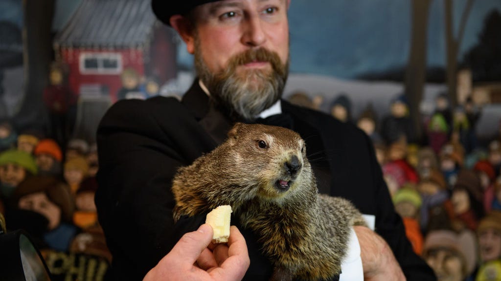 Punxsutawney Persimmon? PETA wants to replace Punxsutawney Phil with a tree