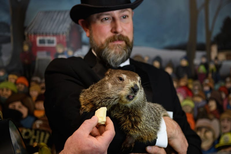 PUNXSUTAWNEY, PA - FEBRUARY 01: Punxsutawney Groundhog Club Inner Circle Members Jason Gursky and official handler, AJ Dereume and Punxsutawney Phil, the weather-predicting groundhog, work a Zoom call with schoolchildren in hundreds of schools throughout the United States on Gobblers Knob on February 1, 2021 in Punxsutawney, Pennsylvania. While last year's tradition of using the groundhog to determine whether there will be six more weeks of winter brought 44,000 people to the small town of 22,000 in central Pennsylvania, tomorrow's event will be held virtually, with no visitors permitted.