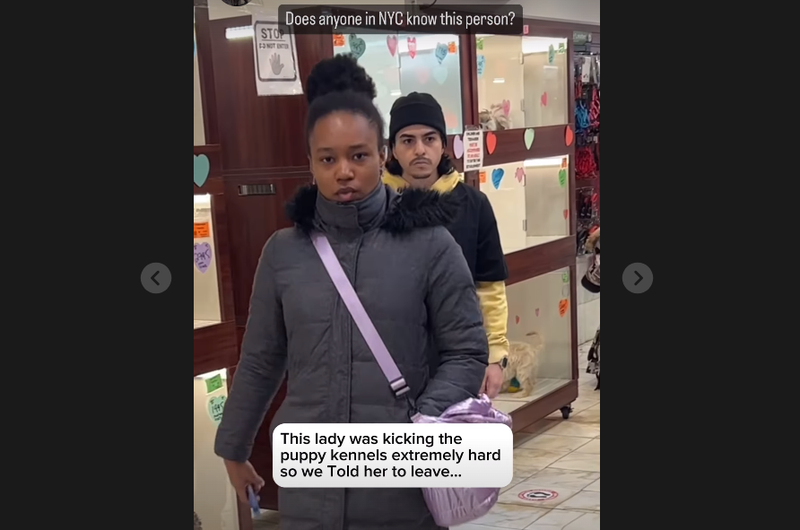 A woman was caught on camera slapping a bystander across the face after allegedly kicking kennels containing puppies in the Citipups NYC Chelsea location.