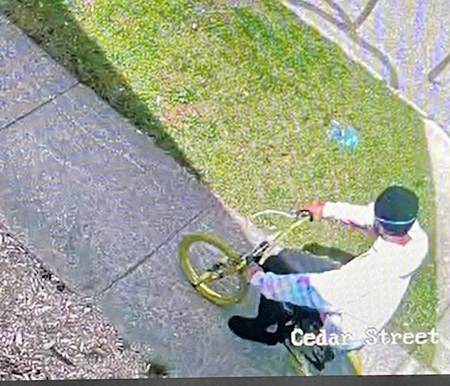 Police in southwest Michigan are searching for a suspect who they say knocked an elderly woman to the ground and stole her purse outside a church on Thursday.
