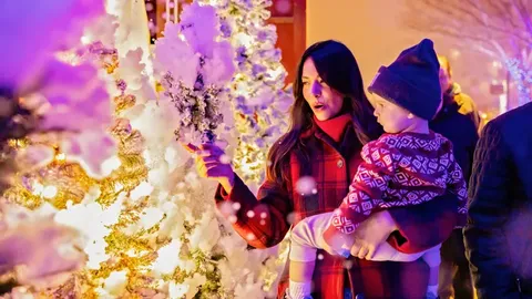 Holiday Magic at the Washington State Fairgrounds