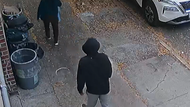 VIDEO: Woman, 60, pushed to ground in knifepoint robbery in Queens, suspect sought