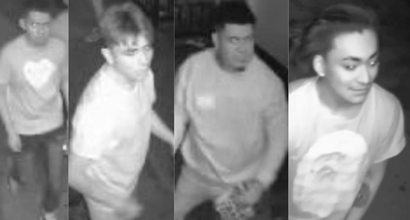 Queens suspects