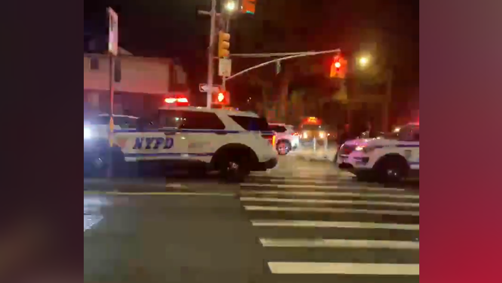 Pedestrian critically injured in Queens hit-and-run