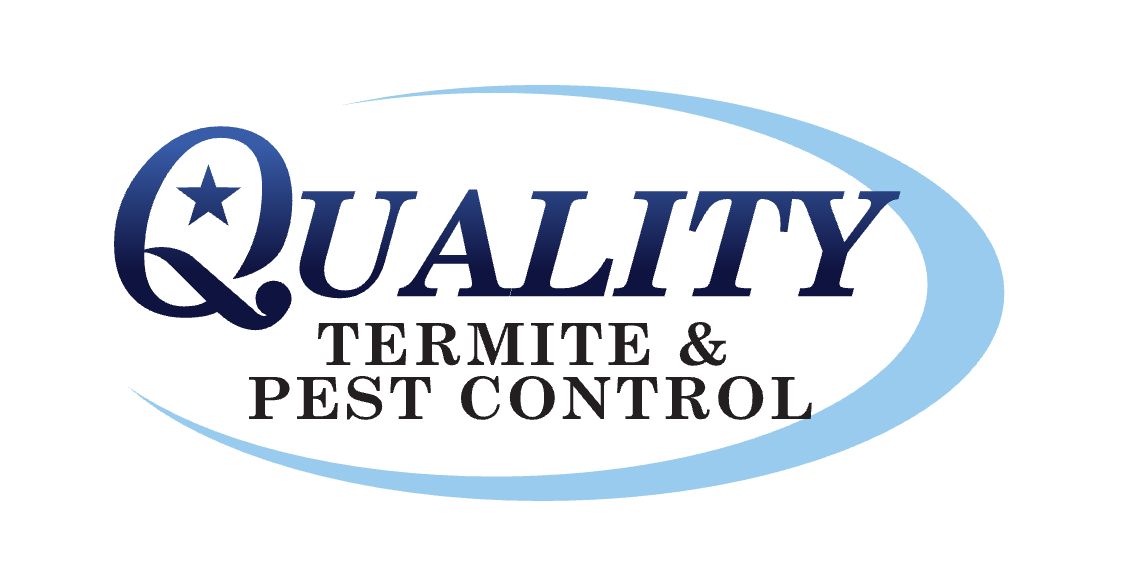 Quality Termite 