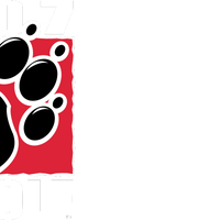 100.7 The Wolf logo