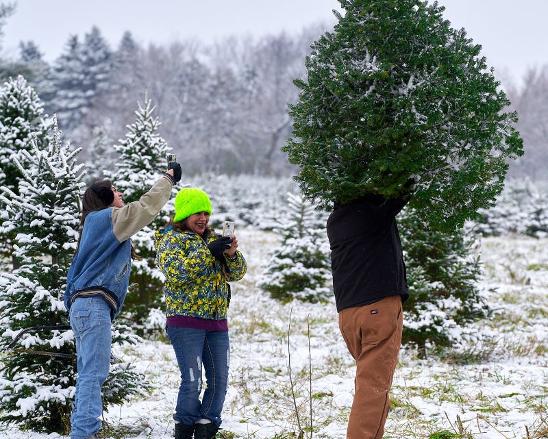 Family picks a Christmas tree from a farm