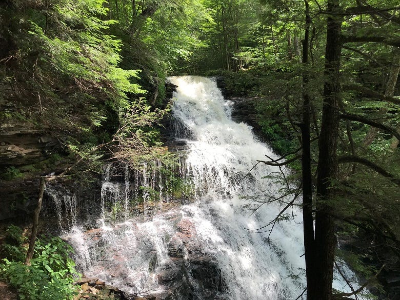 Waterfall at Rickett's Glen