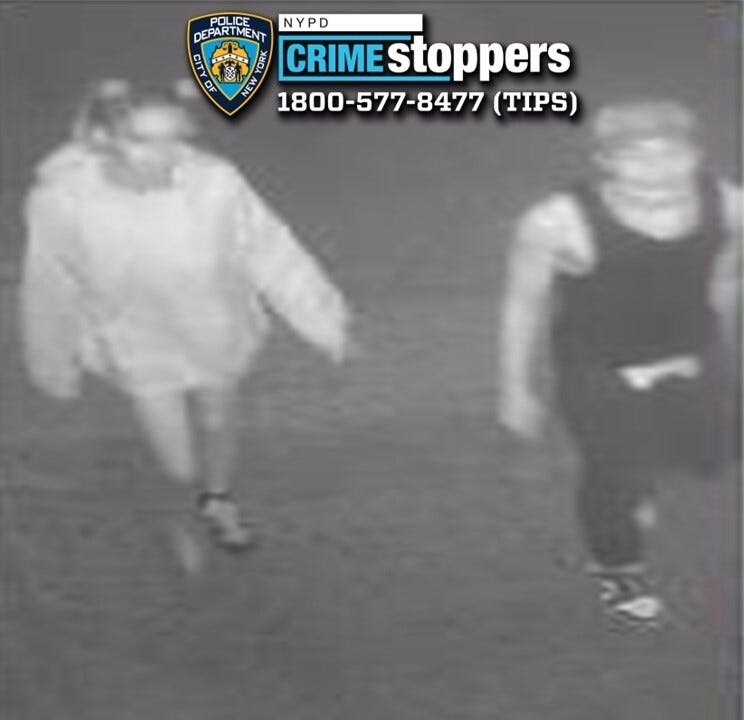 Couple sought for slashing man during Bronx robbery.
