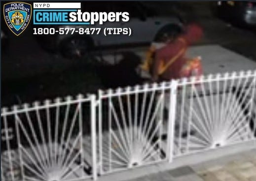 Police said the man was seen carrying the "motionless" dog down a street