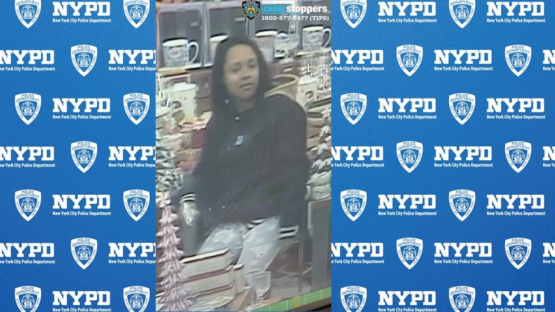 A suspect who struck the victim with a sharp object during a robbery at a Brooklyn TJ Maxx on Sunday