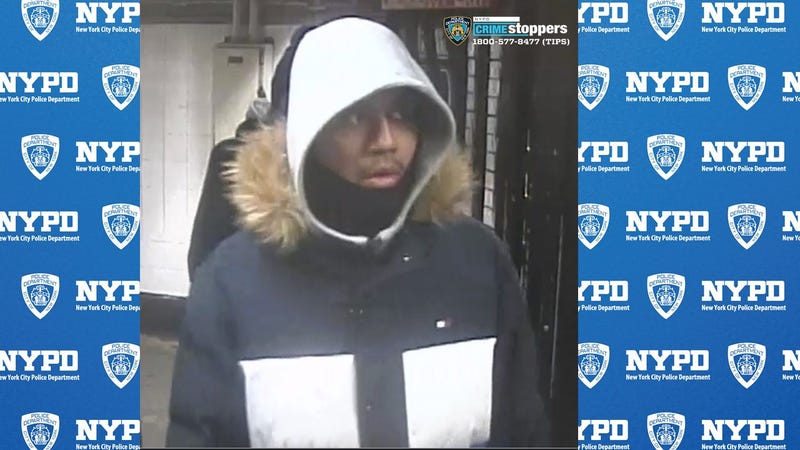 Suspect wanted for slashing girl, 17, in the face at Yankee Stadium subway stop