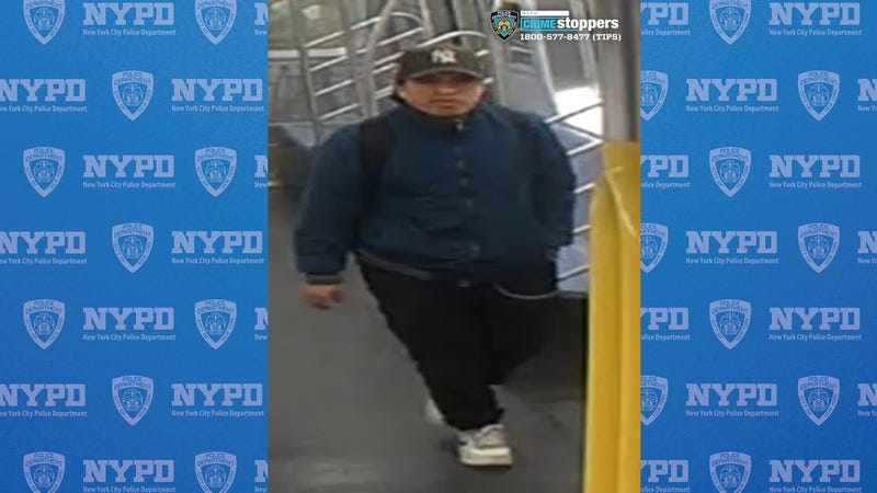 Police are searching for a suspect in a sexual assault at the Canal Street station on March 14