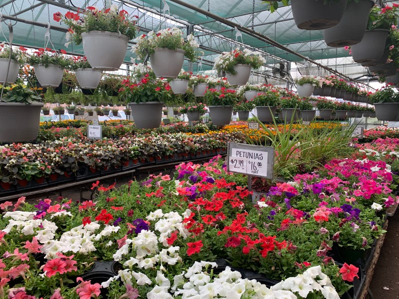 R&R Produce and Garden Center in Oxford Circle