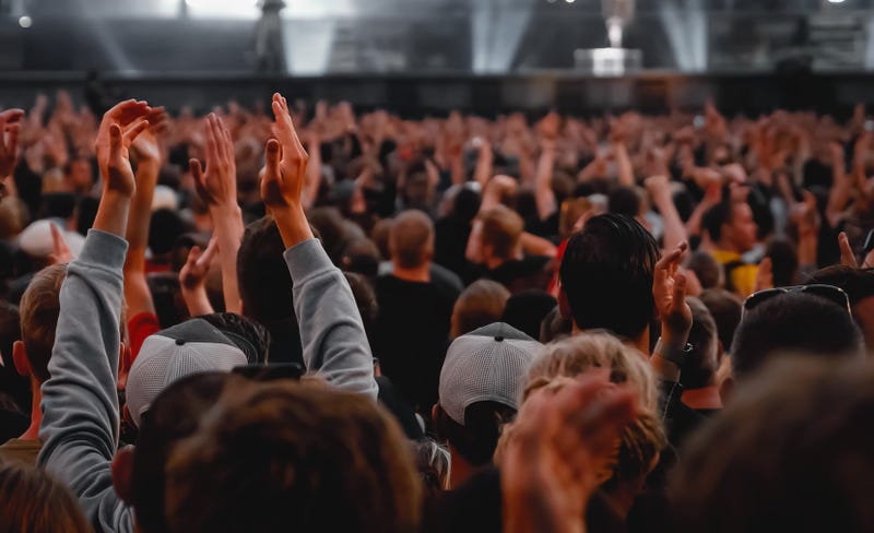 crowd at concert