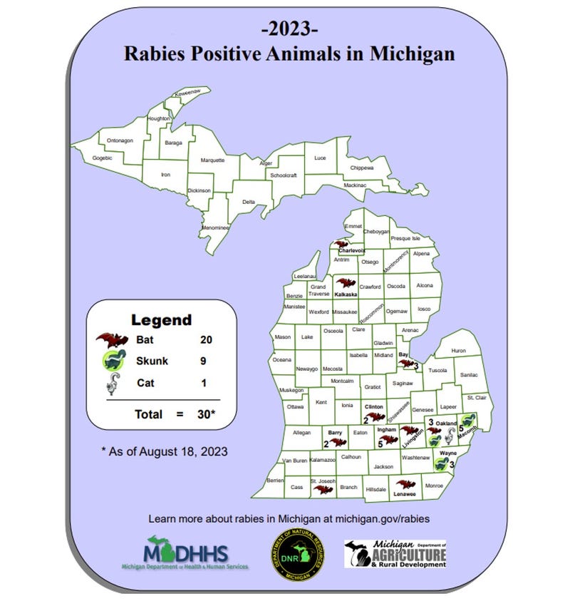 Map shows confirmed cases of rabies across Michigan in 2023