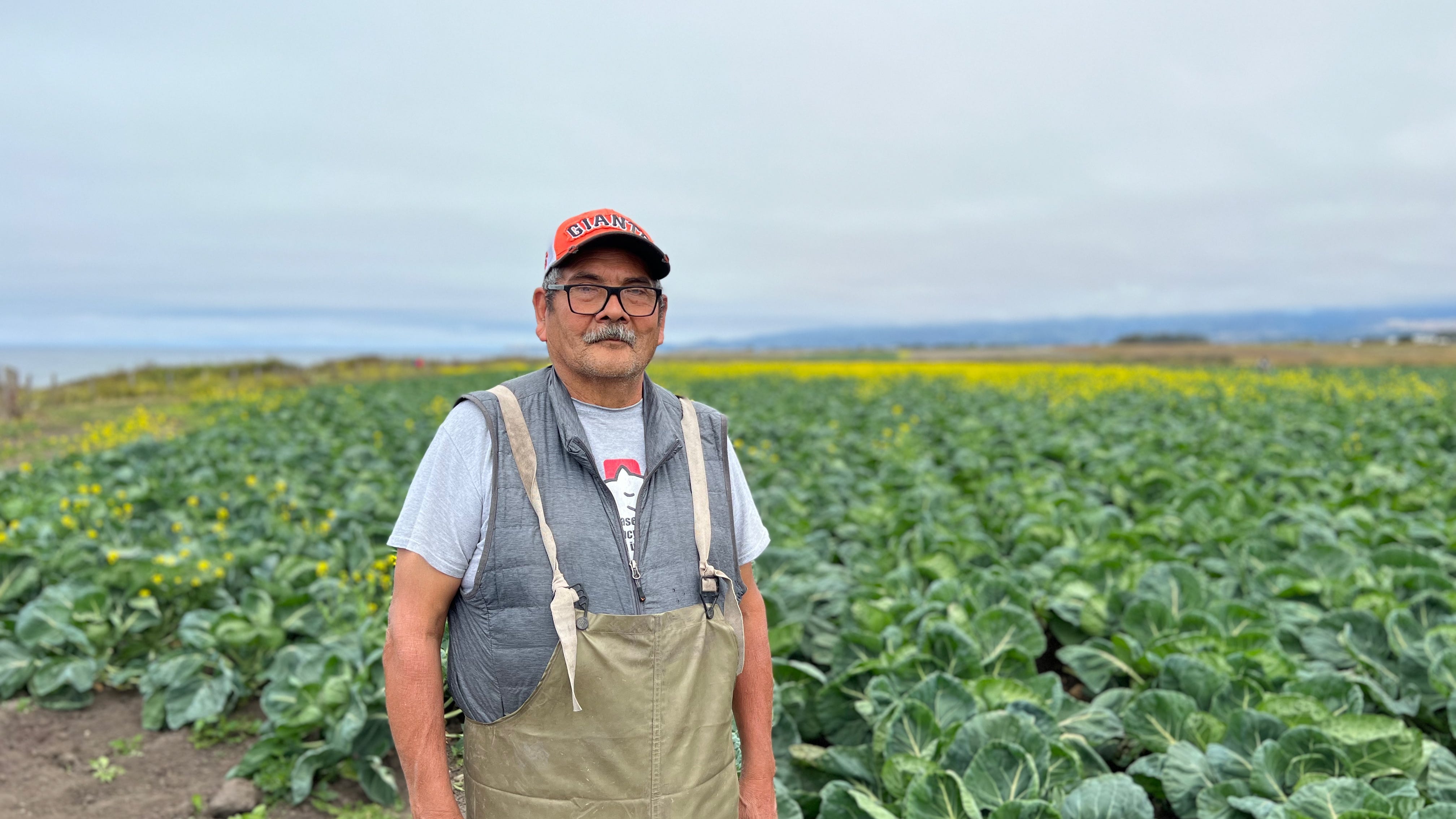 The innovative plan to deliver health care to Peninsula farmworkers