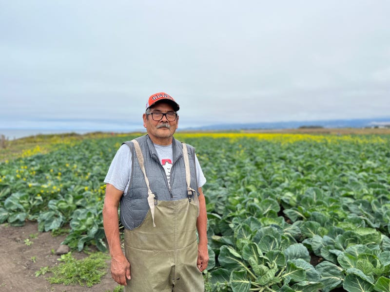 Ramon Sonoqui Martinez, a 67-year-old farmworker in Half Moon Bay, is working for around $15 hour because he needs the money for rent and other expenses.