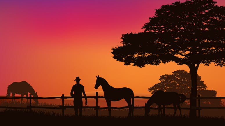 Massive Texas ranch that stretches across two counties hits market for $200 million