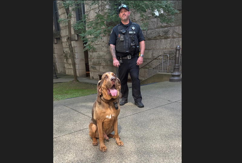 Allegheny County Sheriff K9 Ranger and his handler Deputy Jeff Belback