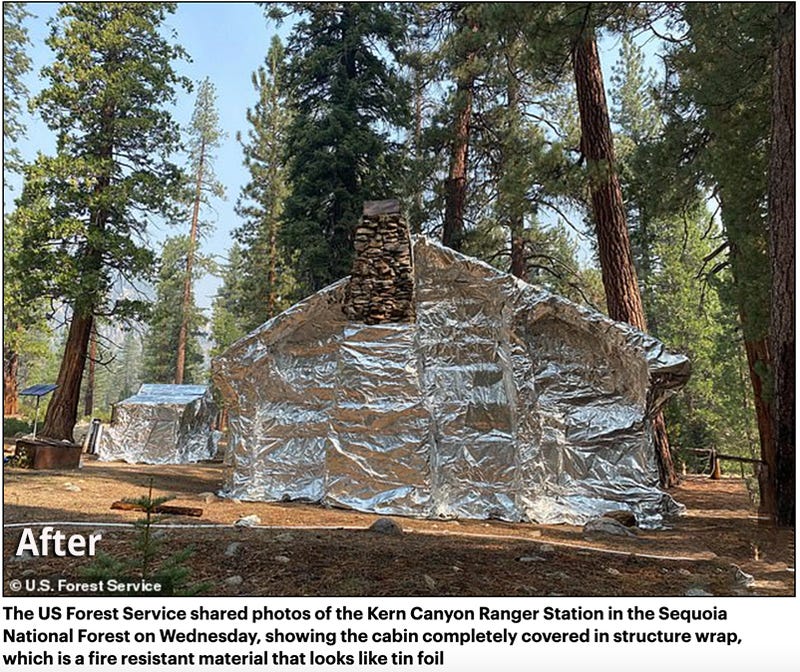 In an effort to protect the massive sequoias in Yosemite from the Washburn Fire they are wrapping the trees in a tinfoil-like material developed by the company Firezat.