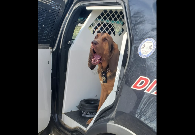 Ranger