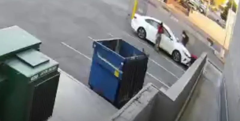 Surveillance snapshot of suspects in heat-related death of a dog