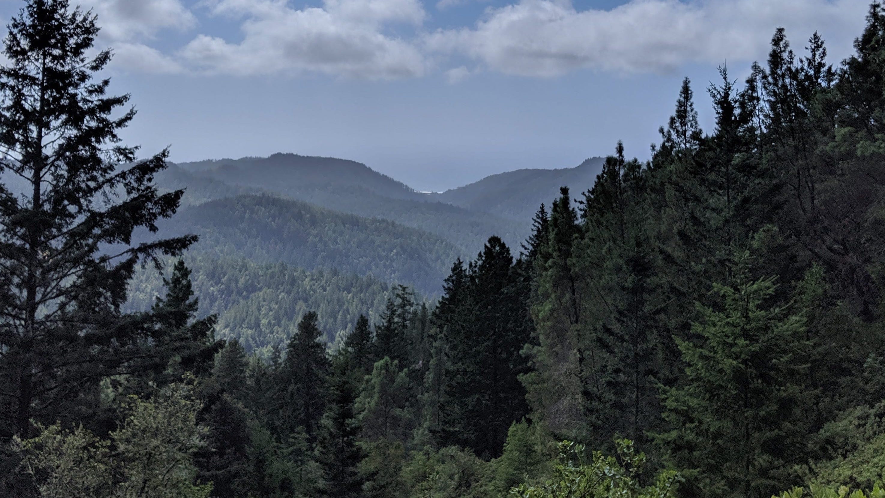 California Wildfire Triggers Major Transition in Big Basin