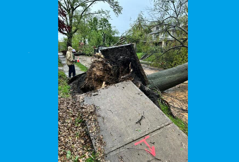 Storm damage in Regent Square