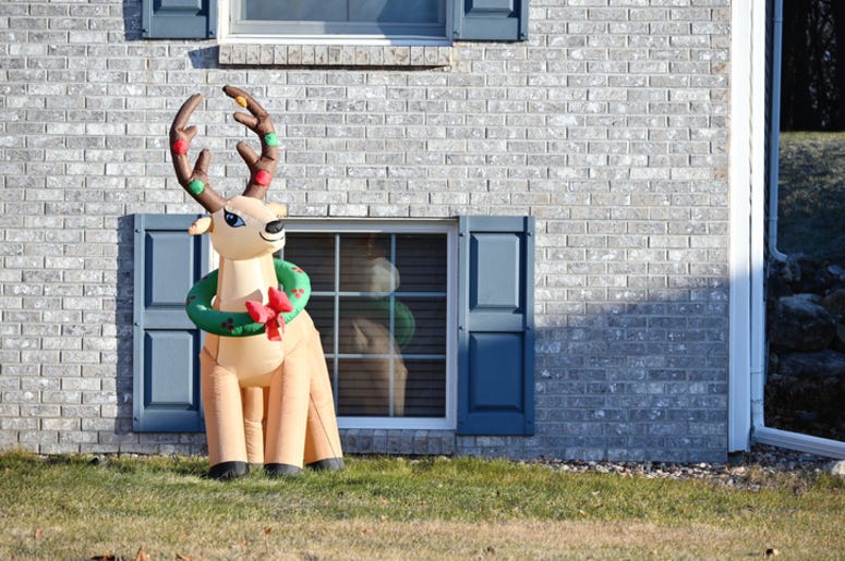Reindeer
