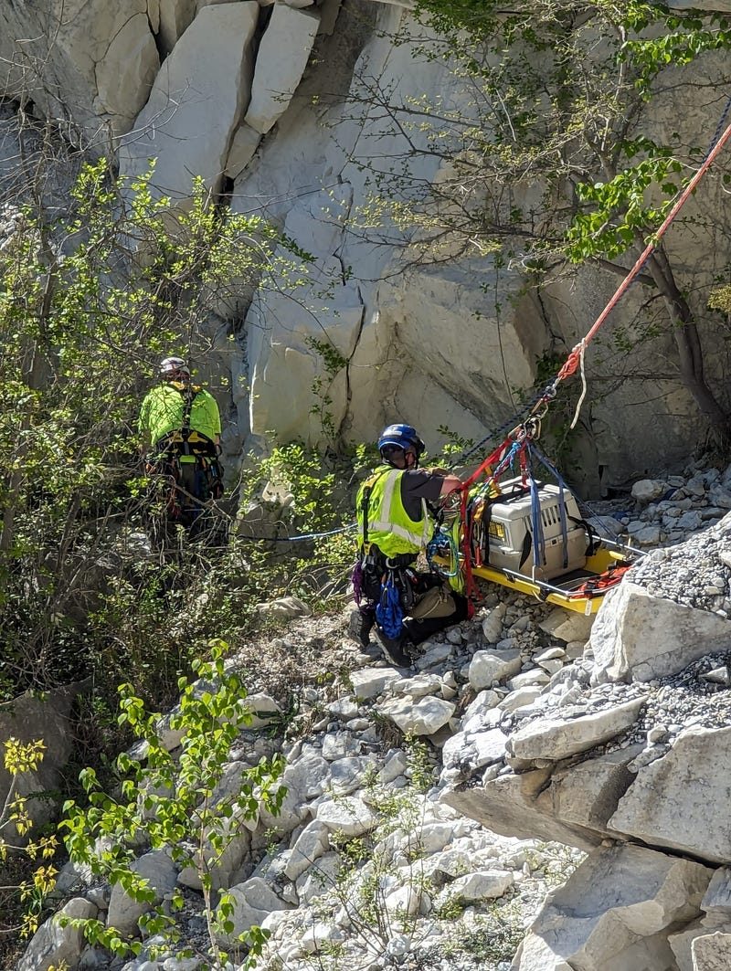 Rippy, a terrier-mix, was rescued on Tuesday after falling down a 50 foot cliff in a Connecticut quarry.