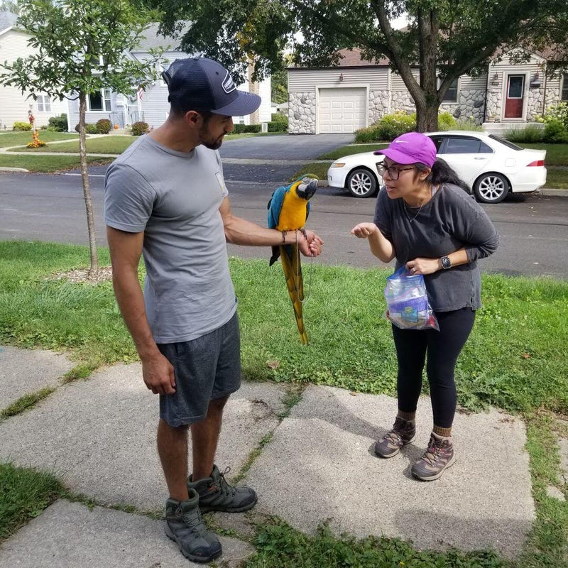 Happy reunion for bird and family