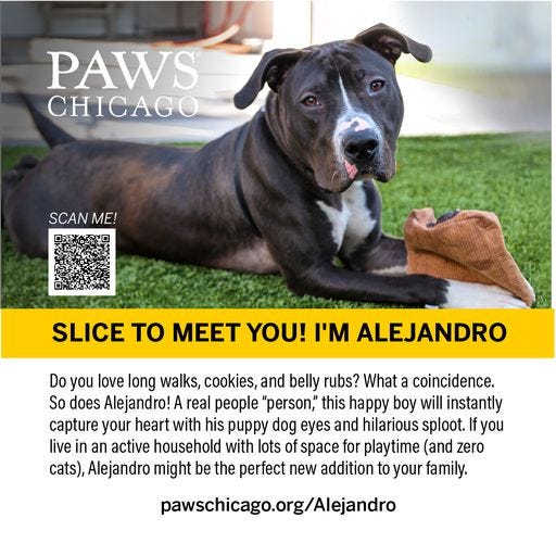 PAWS Chicago