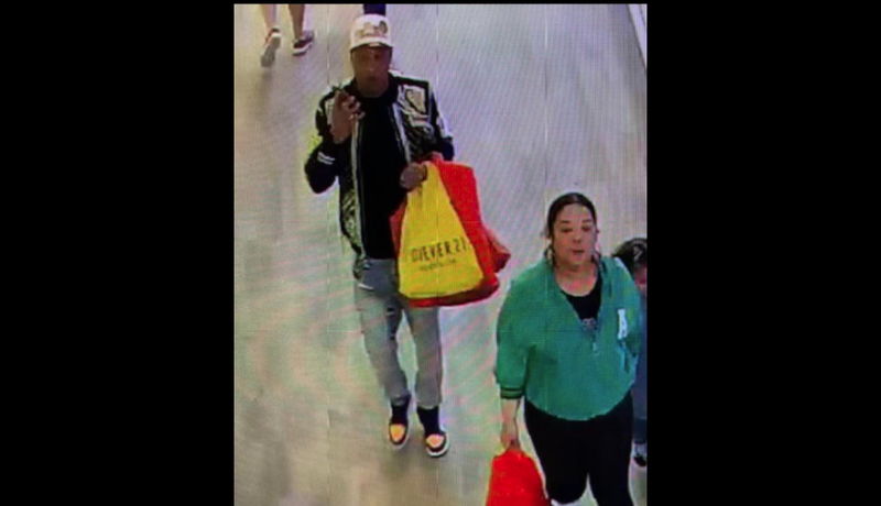 Credit card theft suspects