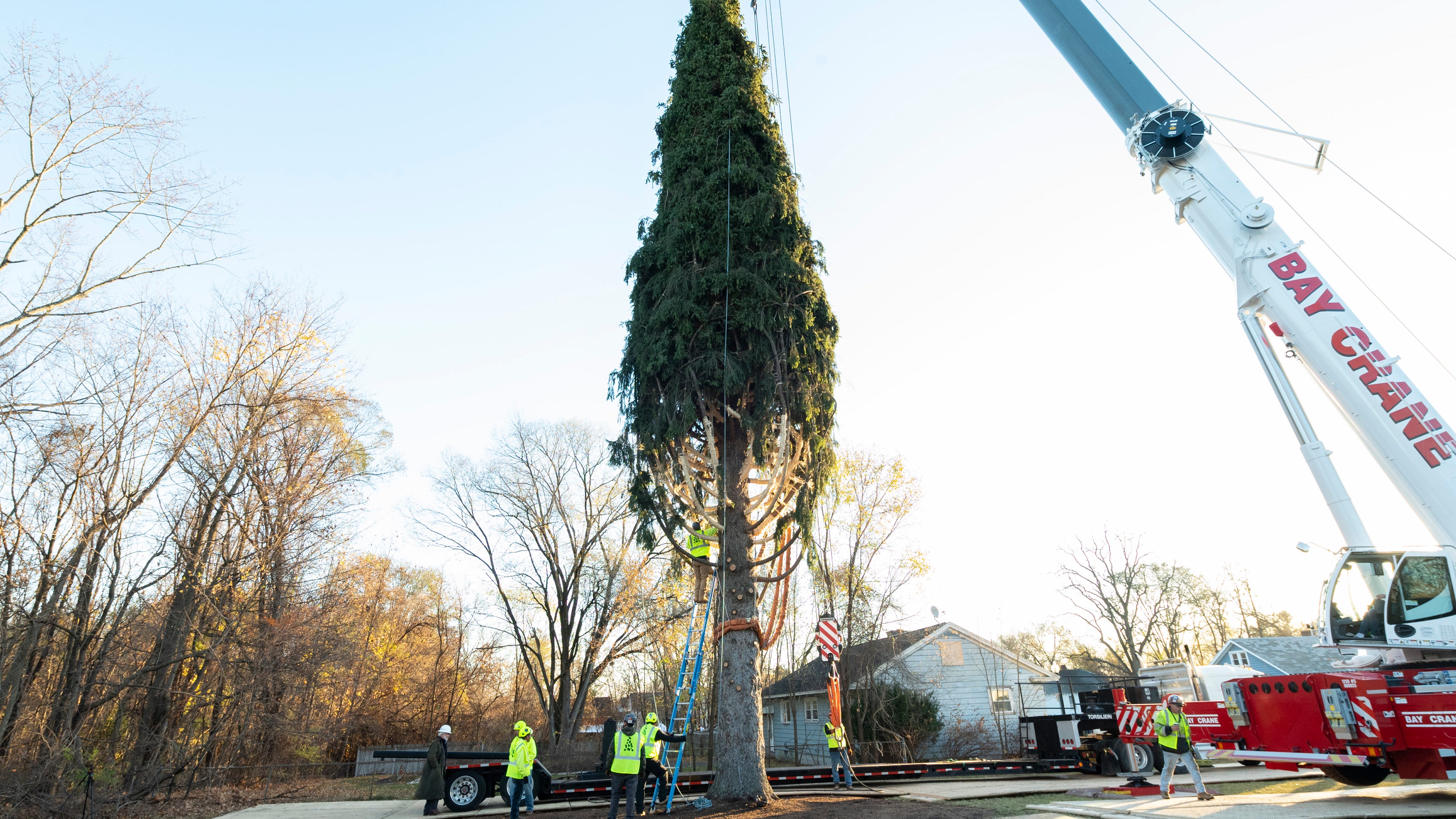 PHOTOS: 2022 Rockefeller Center Christmas tree cut down ahead of journey to NYC