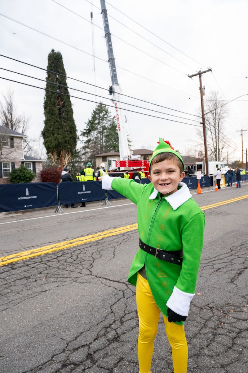 Noah McElligott, 10, poses near the wrapped 80-foot tall Norway Spruce that will serve as this year's Rockefeller Center Christmas Tree, Thursday, Nov. 9, 2023, in Vestal, NY