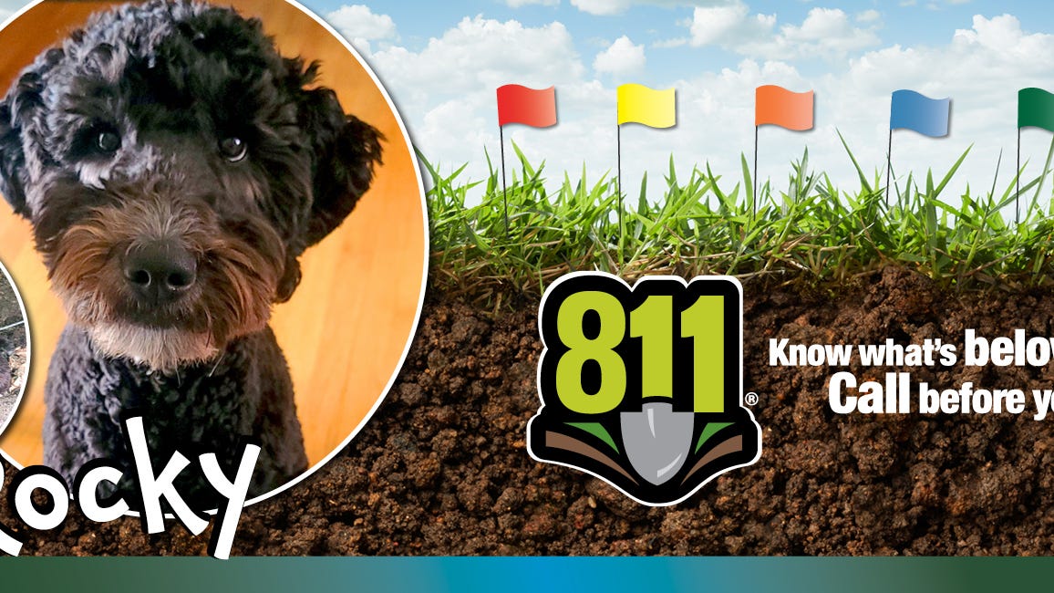 New ‘ambassa-dog’ looks to remind Minnesotans to call 811 before they dig