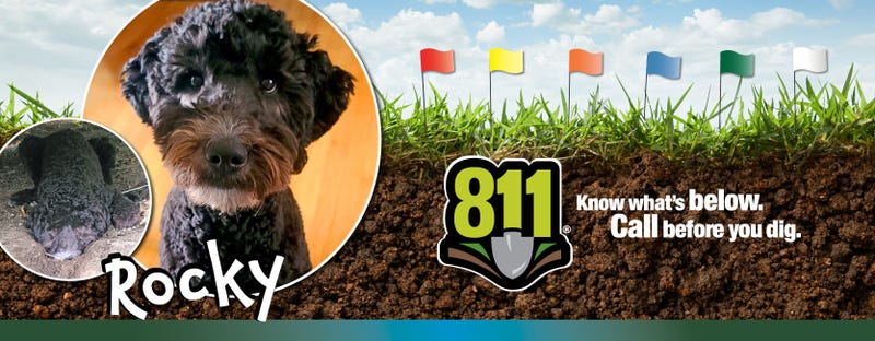 Minnesota Energy Resources's "ambassa-dog" Rocky.