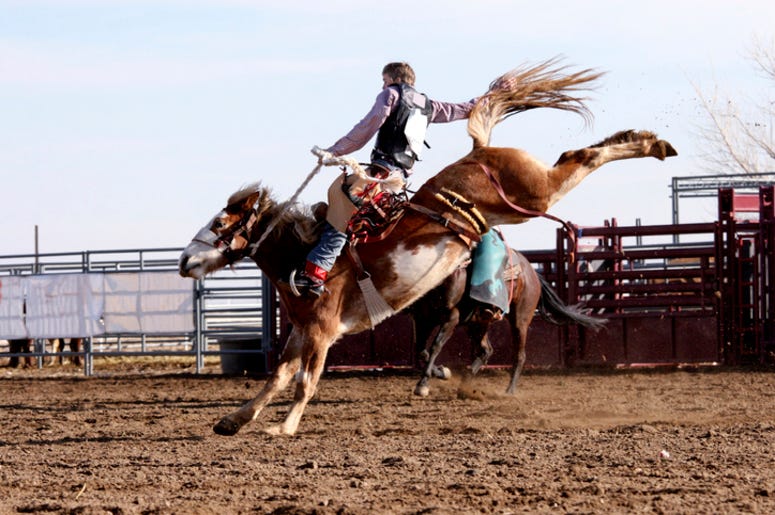 Rodeo