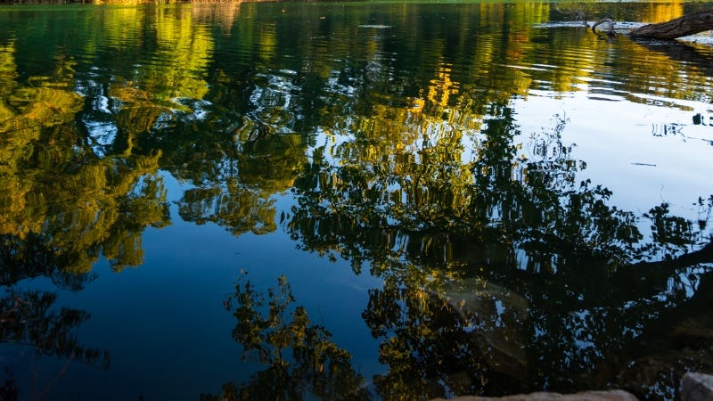 RoschetzkyIstockPhoto / GettyImages